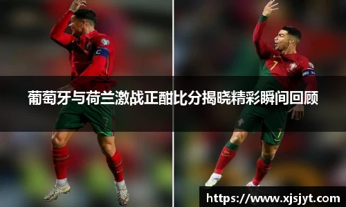 龙8国际